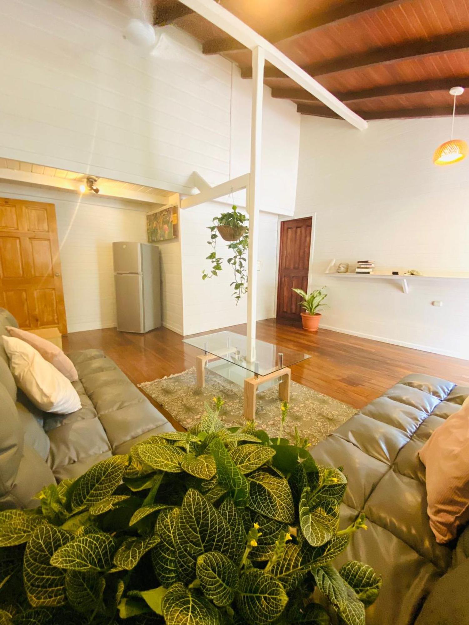 Amimodobeachrooms Puerto Viejo de Talamanca Luaran gambar